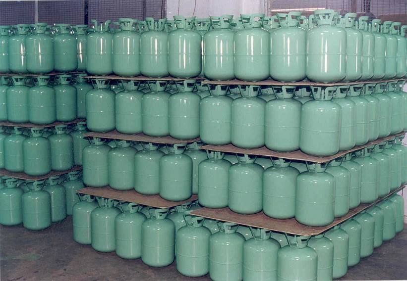Silvasa plant Image